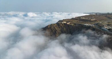 ശൈത്യകാലവും, മഴയും ഒരുമിച്ചതോടെ കോടമഞ്ഞിൽ കുളിച്ച് താഇഫിലെ മലനിരകൾ
