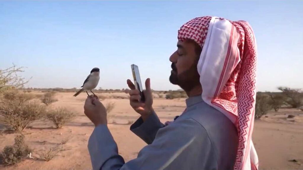 മരുഭൂമിയിലെ ഏകാന്തത തേടിപ്പോയ അബ്ദുറഹ്മാൻ അൽ-ഒതൈബി എന്ന സൗദി പൗരൻ അവിടെ കണ്ടെത്തിയത് ഒരു പക്ഷിയുടെ രൂപത്തിലുള്ള ആത്മസുഹൃത്തിനെ